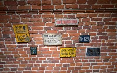 Zaskakujące eksponaty w piwnicach Pałacu Potockich