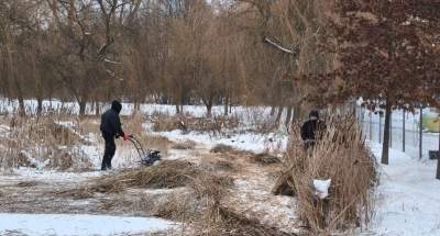 Zima i mróz nie przeszkadzają: pracownicy Zarządu Zieleni Miejskiej w akcji