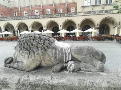 Oblał kwasem posąg lwa przy wieży ratuszowej
