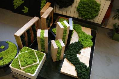 Zrób sobie mech. W Krakowie bardzo się przyda