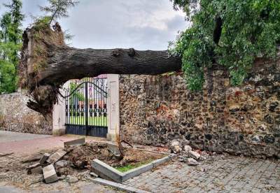 Wiatr i burze nie odpuszczają w Krakowie. Ostrzeżenie meteo