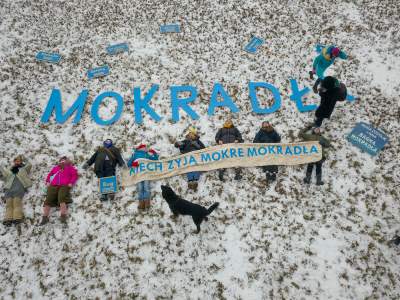Taka sytuacja na Łąkach Nowohuckich...