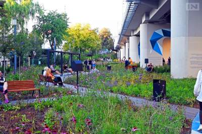 Zarząd Zieleni Miejskiej w Krakowie podsumował rok: "wiele udało się zrobić"