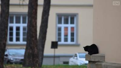 Wiceprezydent Krakowa otwarcie o swojej depresji. Teraz ta choroba dotknie więcej osób