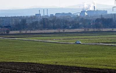 Wybrane tereny zielone w Krakowie będą pielęgnowane przez kozy i owce