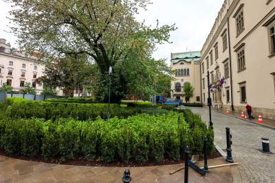 Zieleń zamiast betonu w centrum Krakowa, oczekiwana zmiana