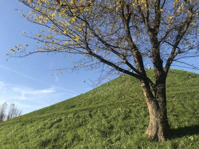 Kopiec Wandy potrafi rozpalić wyobraźnię, zapraszają na fascynujące spotkanie