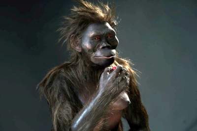 Zrekonstruowali naszą przodkinię, do oglądania na ekspozycji UJ