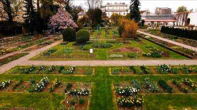 Zuchwała kradzież w ogrodzie botanicznym