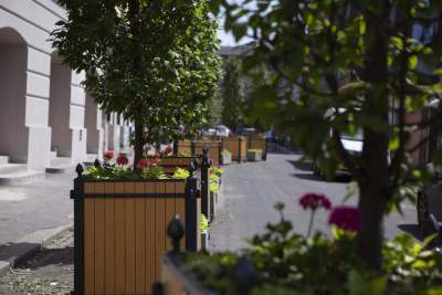 M. Szostkiewicz: wojna z Majchrowskim ważniejsza od zieleni?