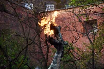 Tego nie można przegapić: wielkie świętowanie urodzin Smoka