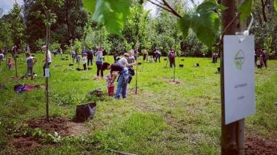 Jedna z najsympatyczniejszych zielonych akcji w Krakowie! Idealna na dzień ojca