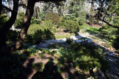 Wreszcie "odmrożono" jedno z najładniejszych miejsc w Krakowie