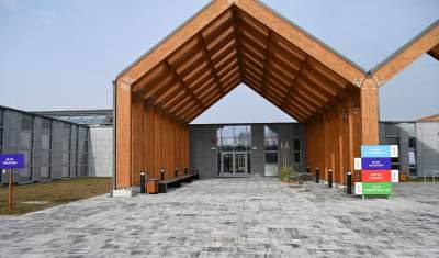 Współpraca, która ratuje życie – zarówno ludzi jak i wyjątkowych psów