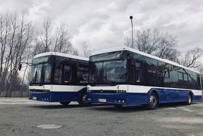 Świąteczne zakupy na ostatnią chwilę, Miasto uruchomi specjalną linię autobusową