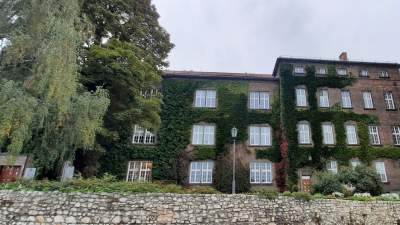 Edyta Kruk: Zielone ściany miasta. Każdy może przyłożyć do tego rękę