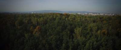 Miasto Kraków nareszcie kupiło ten las: uratowany przed zabetonowaniem