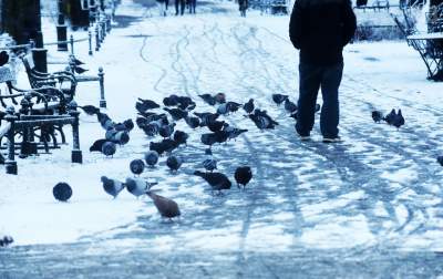 Wraca wiatr, śnieg i mróz. Możliwe "rozproszone burze śnieżne"