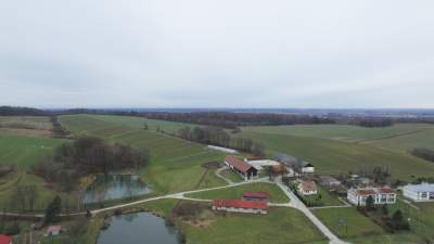 Będziecie mogli zwiedzić uniwersytecką winnicę. Ładne miejsce