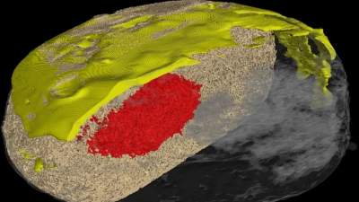 AGH nadąża za trendami. Naukowcy prześwietlili… pączki