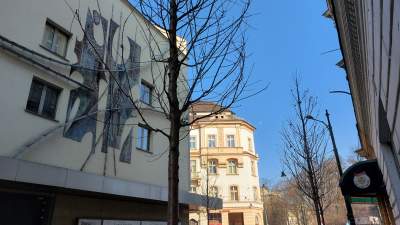 Pierwsze drzewa na Krupniczej! Do końca kwietnia będzie ich kilkadziesiąt