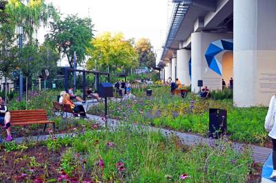 Pierwszy tego typu park w Krakowie, wygląda wspaniale