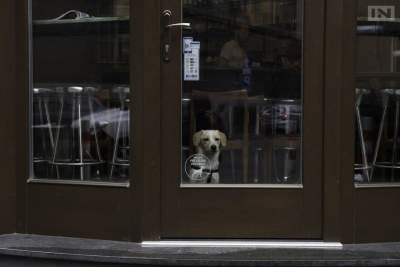 Ziemowit Szczerek: wszyscy biadolą "Kraków się kończy"