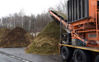 Można jeszcze pozbyć się świątecznej choinki. Zrobią z tego użytek