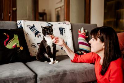 Specjalistka od kotów z Krakowa: "wiem, jak gadają z człowiekiem i jak gadają między sobą"