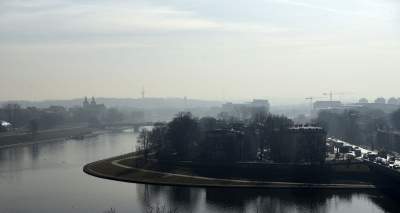 Inwazja owadów nad Wisłą w Krakowie. Miasto wydało komunikat