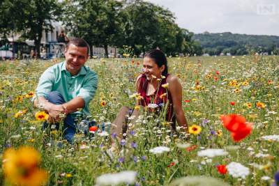 Kwietne łąki powrócą, choć tak trudnych warunków do tej pory nie było