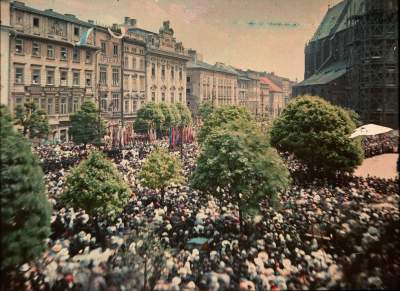 „Posadźmy drzewa na Rynku Głównym” wygrywa Budżet Obywatelski