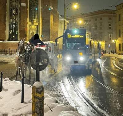 Zderzenie tramwaju z dorożką, obrońcy praw zwierząt interweniują