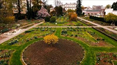 Noc Kupały w Ogrodzie Botanicznym, jeśli gdzieś szukać kwiatu paproci, to tutaj