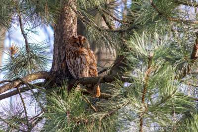 Nowi lokatorzy Ogrodu Botanicznego w Krakowie, efekt łagodnej zimy