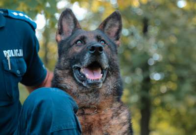 Po siedmiu latach przeszedł na emeryturę. Miał sporo sukcesów