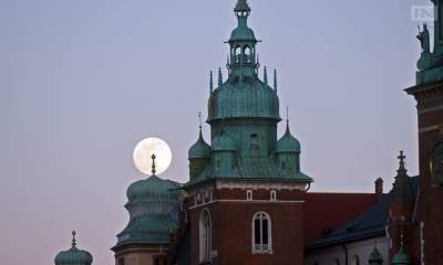 Tylko w ten weekend: specjalne rozkłady jazdy nocnych linii autobusowych i tramwajowych