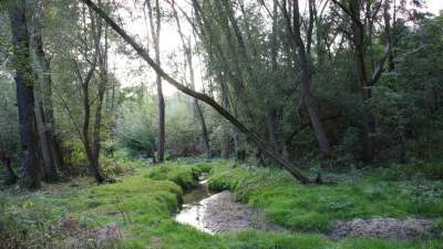 Wyjątkowy nocny spacer w parku rzecznym Drwinka. Na tropie nocnych motyli