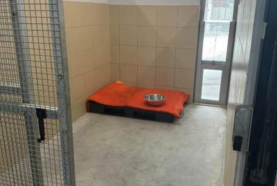 Krakowianie dali przykład całej Polsce, podobna akcja w innych miastach