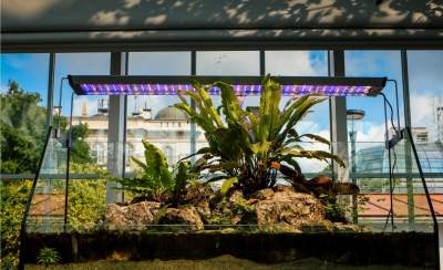 Nowe fajne miejsce w krakowskim Ogrodzie Botanicznym, przypomina o kruchości flory