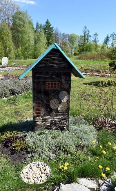 Nowe atrakcje w Ogrodzie Doświadczeń - zdjęcie 18