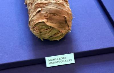 "Źródła": Galeria Sztuki Starożytnej w Arsenale - zdjęcie 16