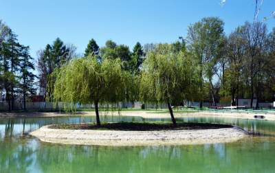 Krakowski  „Zanzibar",  „Malediwy": jest pięknie, ale... - zdjęcie 18