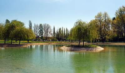 Krakowski  „Zanzibar",  „Malediwy": jest pięknie, ale... - zdjęcie 10