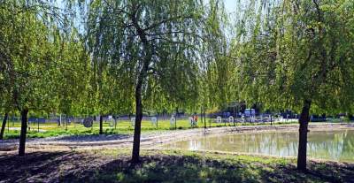 Krakowski  „Zanzibar",  „Malediwy": jest pięknie, ale... - zdjęcie 17