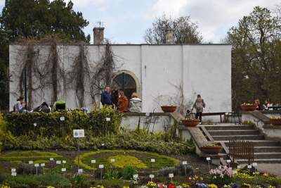 Ogród Botaniczny o tej porze pachnie najpiękniej... - zdjęcie 33