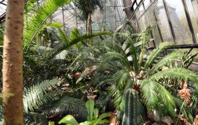 Ogród Botaniczny o tej porze pachnie najpiękniej... - zdjęcie 8