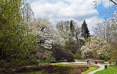 Ogród Botaniczny o tej porze pachnie najpiękniej... - zdjęcie 16