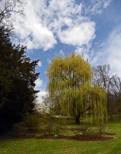 Ogród Botaniczny o tej porze pachnie najpiękniej... - zdjęcie 14