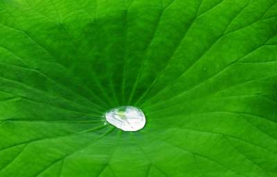 Ogród Botaniczny o tej porze pachnie najpiękniej... - zdjęcie 31